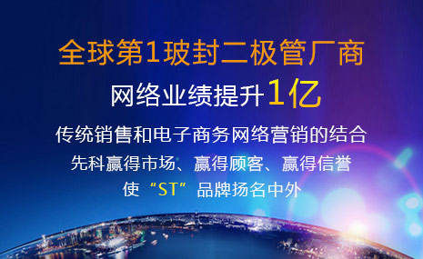 全球第1玻封二极管厂商，网络营销业绩提升1亿